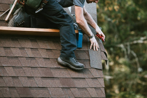 Best Roof Maintenance and Cleaning  in Coaldale, PA